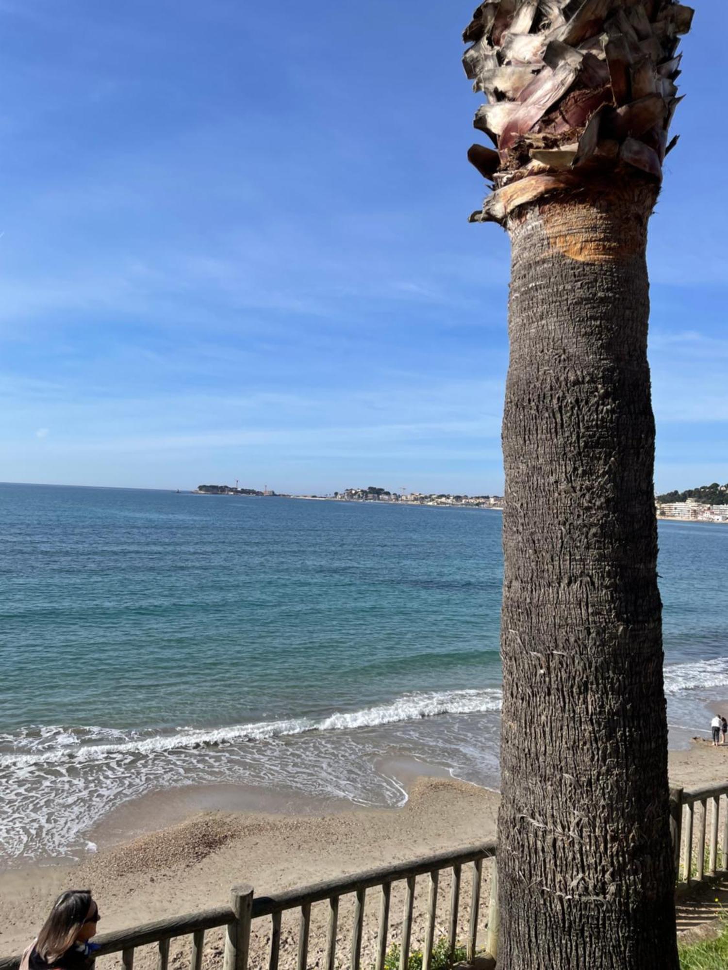 Studio Climatise Piscine Et Proche Plage Sanary-sur-Mer Ngoại thất bức ảnh